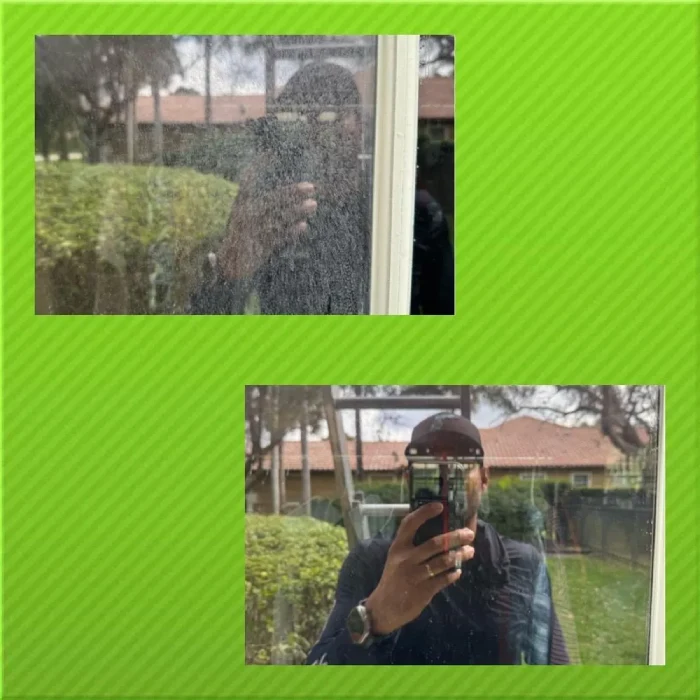 Professional House Painting