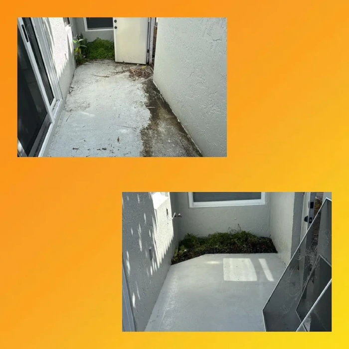 Professional House Painting